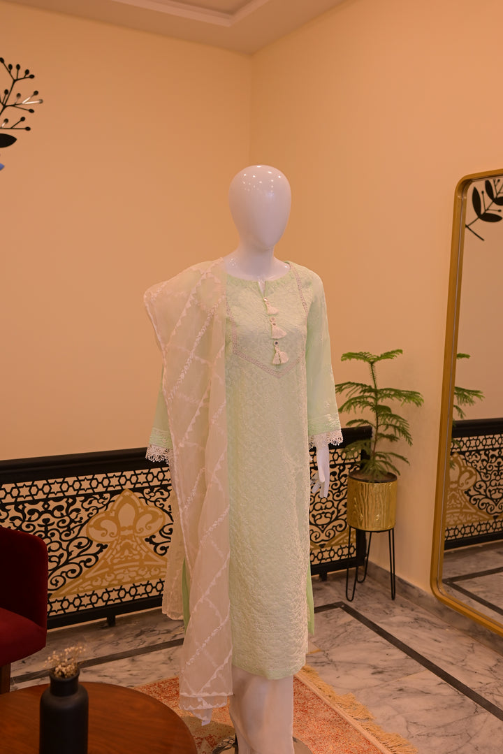 Stitched Chickenkari(Lawn) Kurta-mint green + Organza Dupatta-white