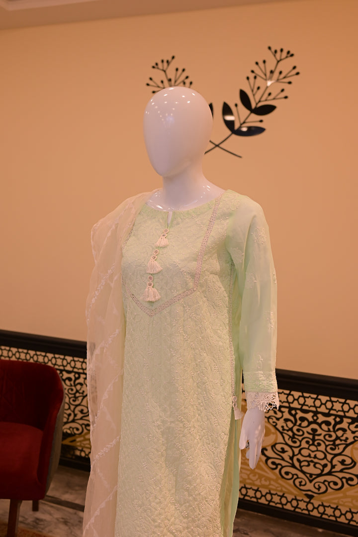 Stitched Chickenkari(Lawn) Kurta-mint green + Organza Dupatta-white