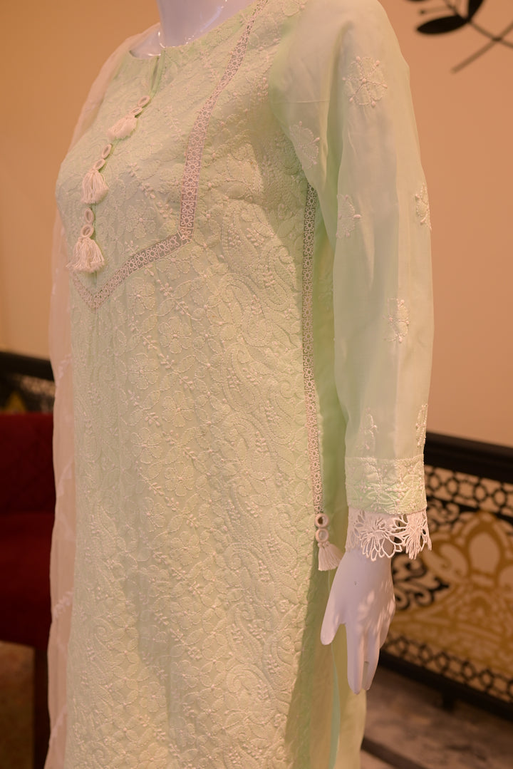 Stitched Chickenkari(Lawn) Kurta-mint green + Organza Dupatta-white