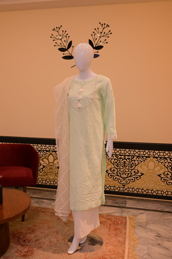 Stitched Chickenkari(Lawn) Kurta-mint green + Organza Dupatta-white